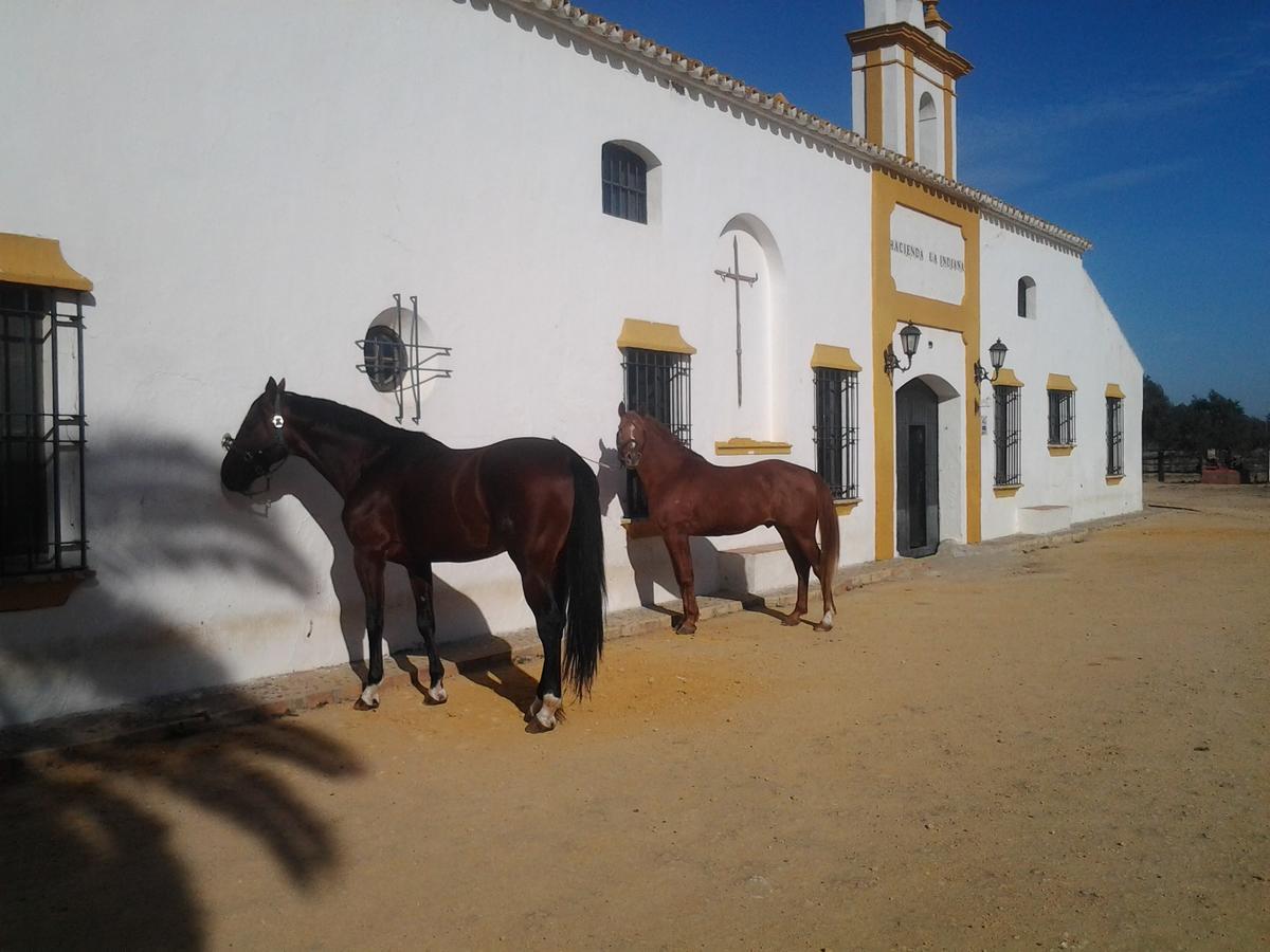 Hacienda La Indiana Hotel Los Palacios Y Villafranca Luaran gambar